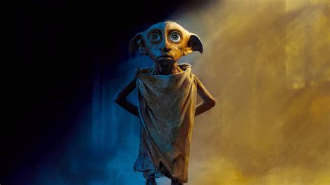 how did harry free dobby